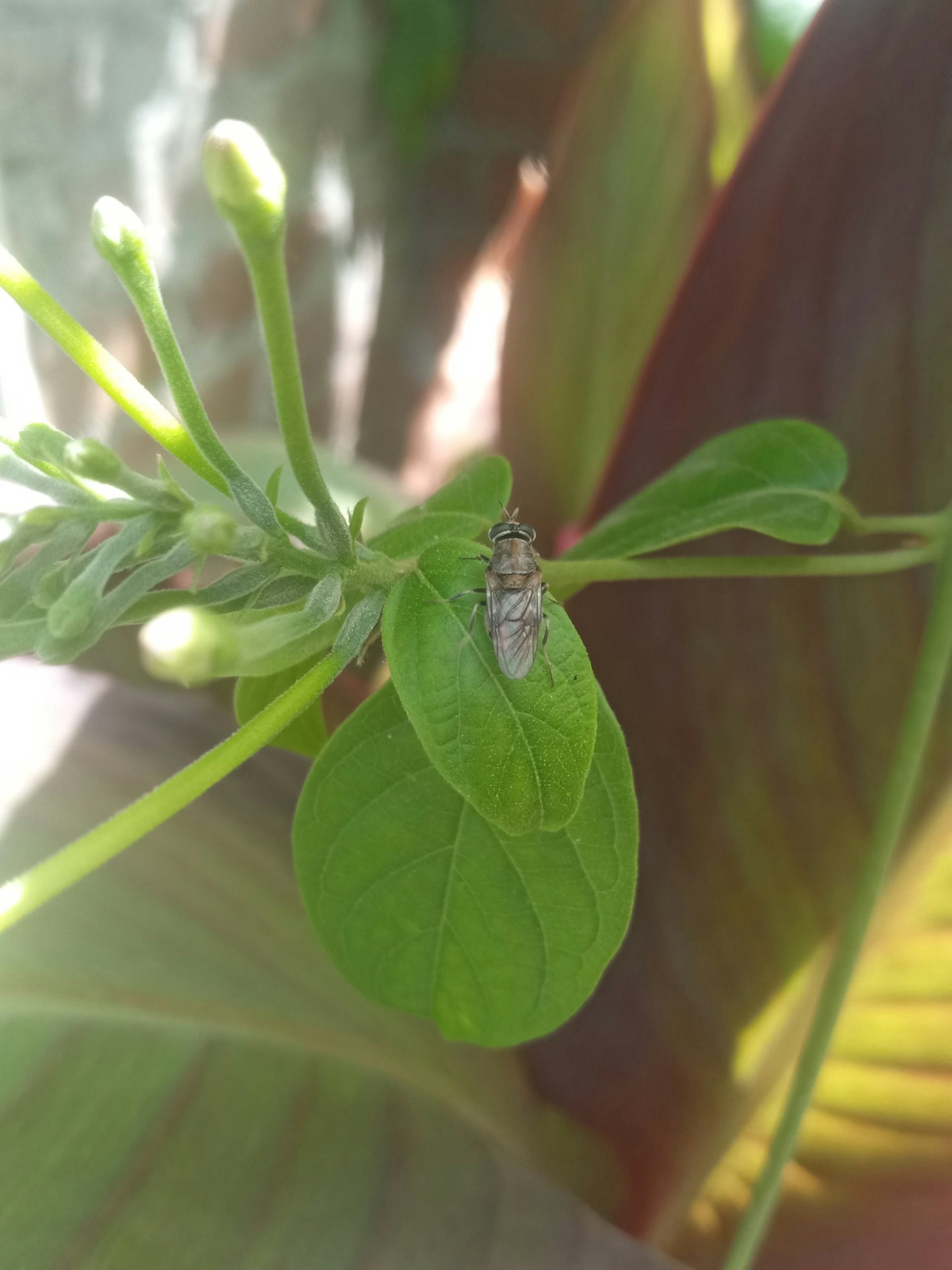 The Science Behind Organic Waste Transformation